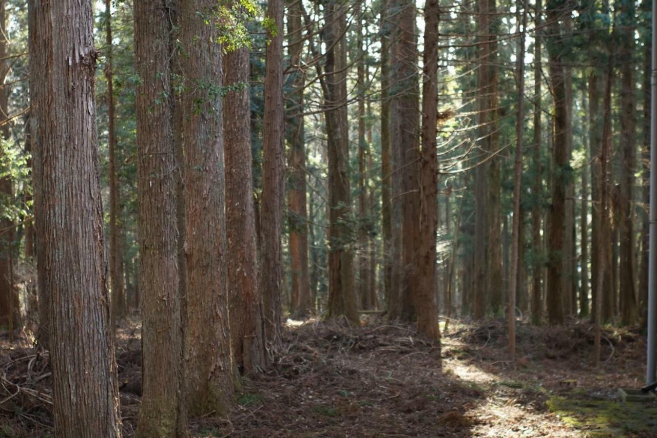 山中湖村 フォレストハウス山中湖ヴィラ エクステリア 写真